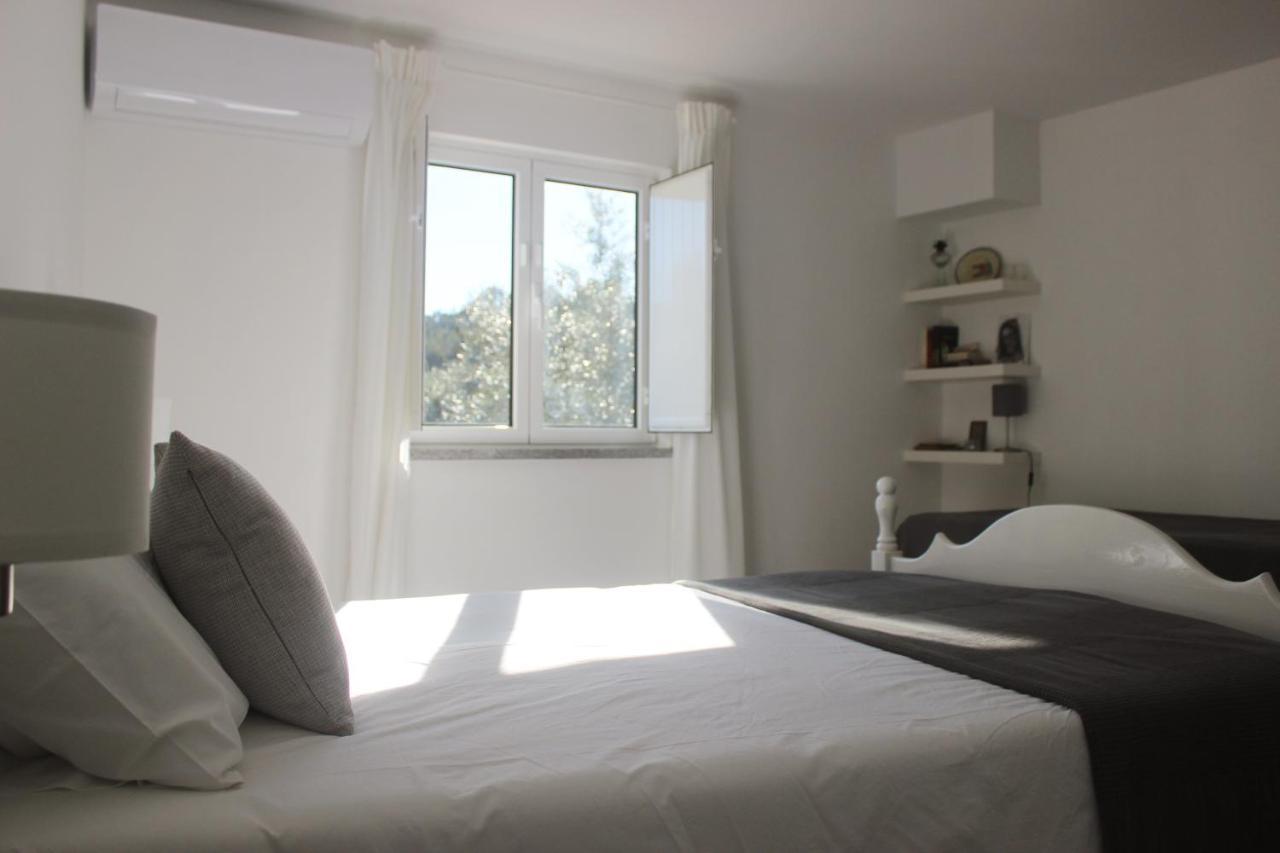 Casas D'Almofala Vila de Rei Bagian luar foto